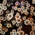 L'Orange、Austin Hartsook - Durbin Was A Trap House