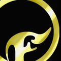 Finch - Daylight