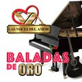 Las Voces del Amor、Dar - Mi Adoracion