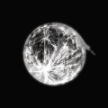 Kyoto Drift、mary - moonlight (Kyoto Drift Remix)