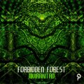 Muirakitan - Forbidden Forest