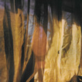 Eel - drifting away together