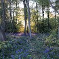 Richard Pryn - 21.05.21
