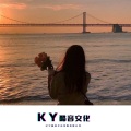一只鹅、DJ华先生 - ＂诡独＂