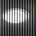 Electric Turtle - Winter's edge