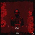 Dougie B、Thunder Bklu、Kay flock - DOA(Doomsday), Pt. 2 (Explicit)