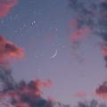 蓝云木 - 花月夜