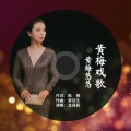 龙莉莉 - 黄梅悠悠
