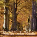 Musica relajante dormir、Música de relajación profunda、Estudio Brillante - Inner Calm