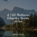 # 1 60 Meditación Relajante y Sonidos de Spa