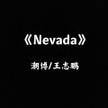 Nevada (Remix)