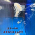 何聪 - 成全
