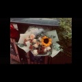 贺安 - Dancin