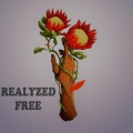 Realyzed - Free