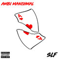 SLF - Ambi Manchmal (Explicit)