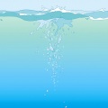 柊樹 - おしゃかしゃま
