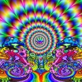 Ambra - The Mind System