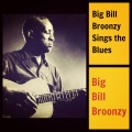 Big Bills Guitar Blues