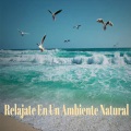 Relajacion - Respira Aire Fresco