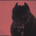 Remmy - CONVICT (Explicit)
