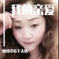 柔情冷看千夫指 - 我的亲爱