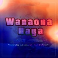 Wanaona Haya