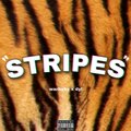 WarBabyGlizzy、Dyl - STRIPES (Explicit)