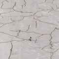Fisherman - 현미경