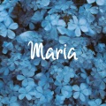 Felax - Maria