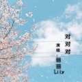 丽丽Lily - 对对对