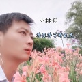 小林子 - 等你等了那么久