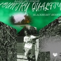 Blackheart Henry、HB K - NEXT C HAPTER (feat. HBK)(BLACK ART MIX|Explicit)