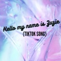 Dj Song Tik Tok、DJ - Hello my name is Zuzie (TikTok Song)