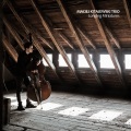 Maciej Kitajewski Trio - My May