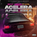 Freddy millionss、excel - Acelera