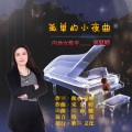 宋夏婷 - 孤单的小夜曲