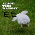 EE、Smells & Reno - Alice The Rabbit
