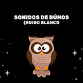 Prince Sereno - Bruits De Hibou
