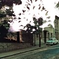 filip neuf、Mourning Run - Cuesta