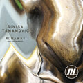 sinisa tamamovic - We Are Doing Fine