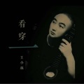 王小林 - 看穿