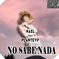 No Sabe Nada (feat. Plantevp)(Explicit)