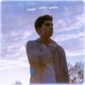 Josh Bogert - It's Ok If You Forget Me