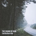 Weather and Nature Recordings、Relaxing Guru、Rain Sound Studio - Rain Meditation State