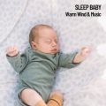 Sleep Baby Sleep、Relaxing Guru、Deep Sleep - Warm Fireplace Hum