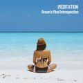 Miracle Tones、Brain Timbre、Spa Music Relaxation - Pure Binaural Beat