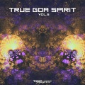 Arc Voyager 25 - Psychic Turbulence