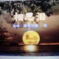 踏雪飞鹰 - 相思泪