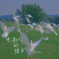 你的弗里 - 给电影人的情书