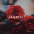白给新之助 - Flower